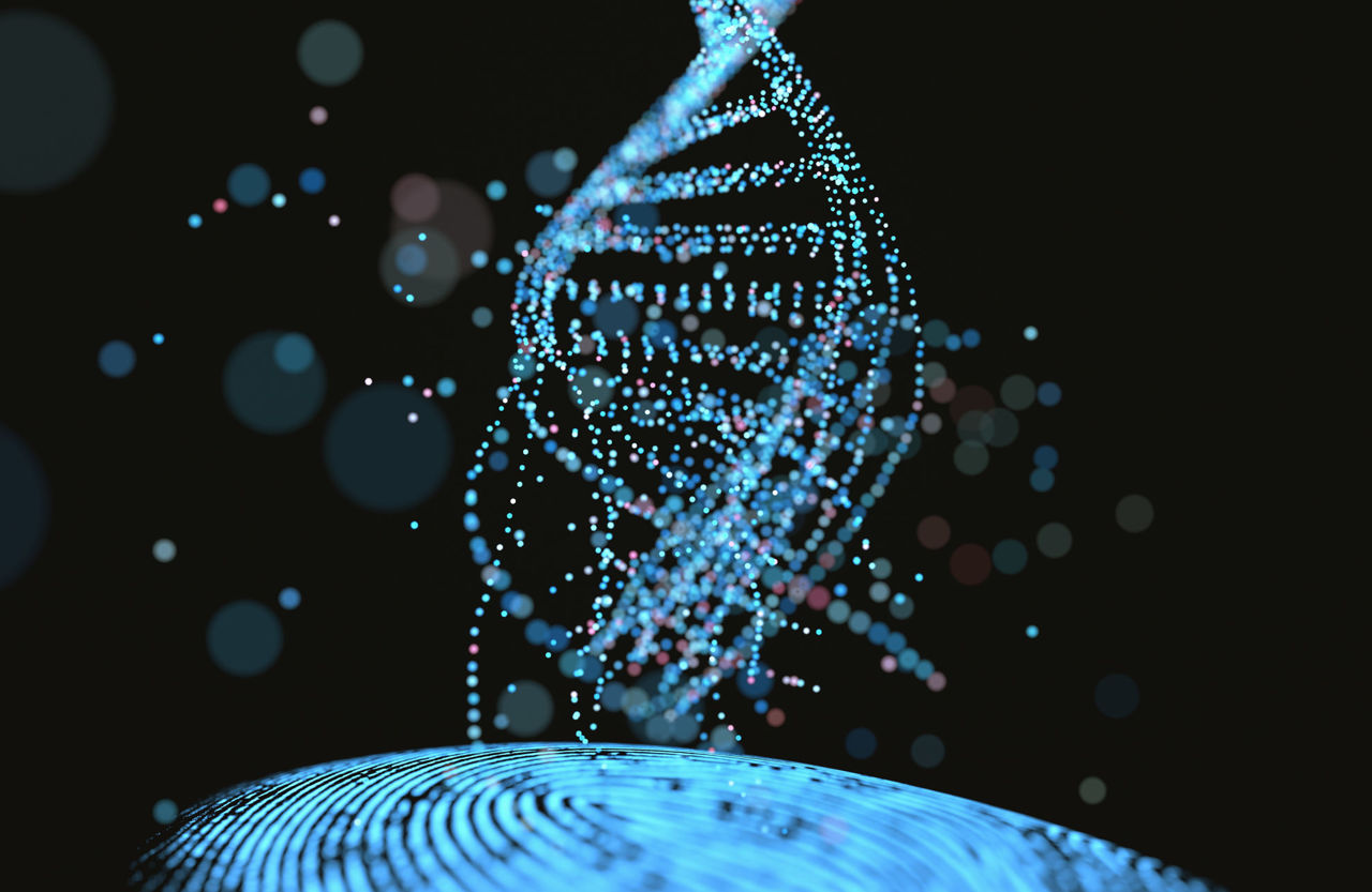 DNA profile: molecular fingerprint of my dog